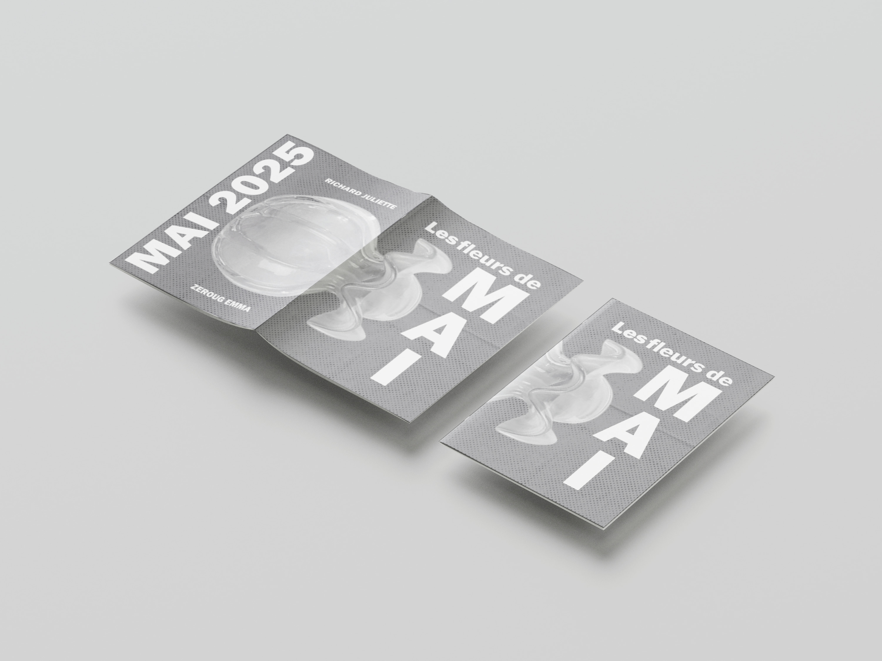 page 1 fanzine fleur