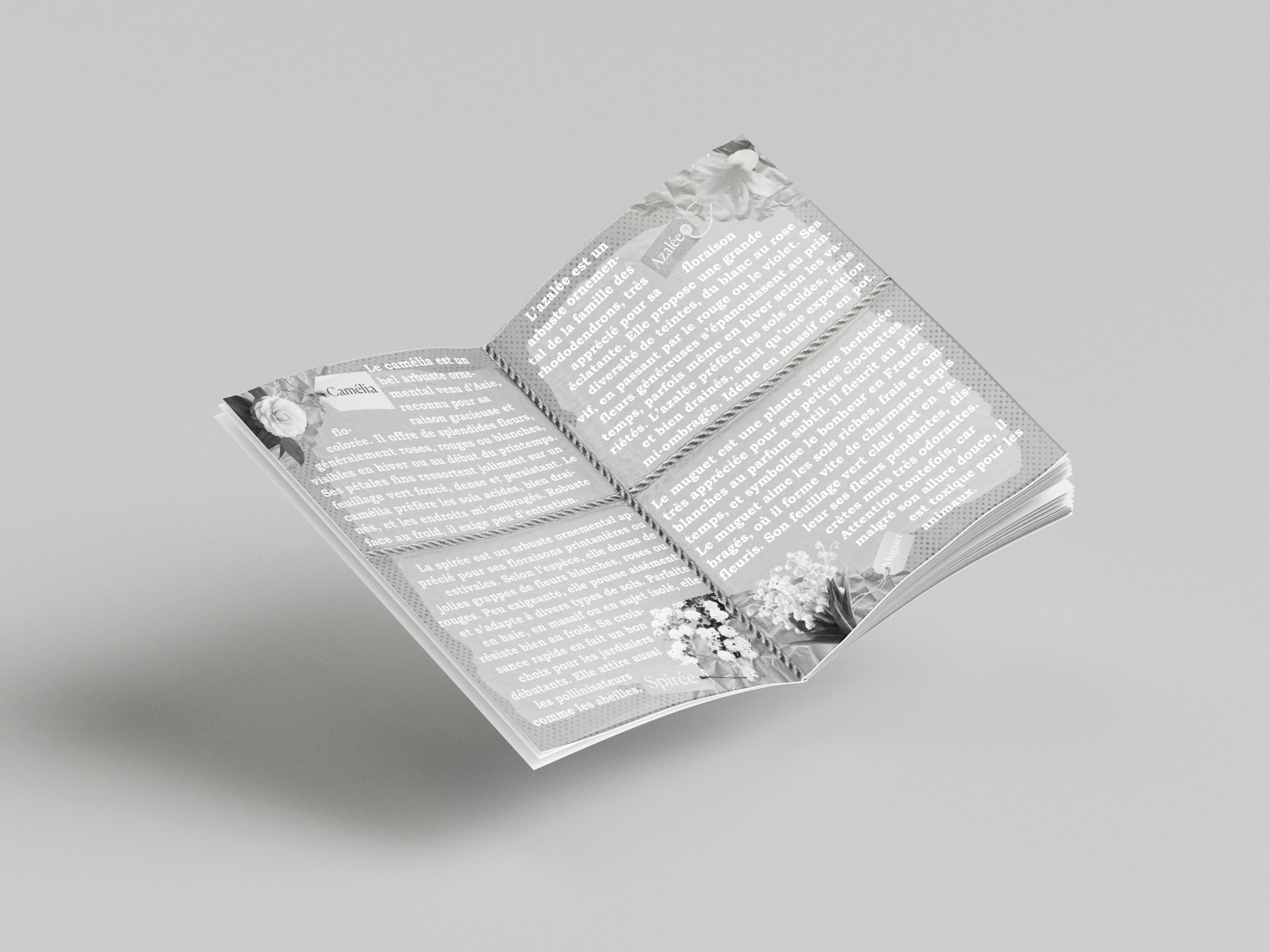 page 1 et 2 du fanzine