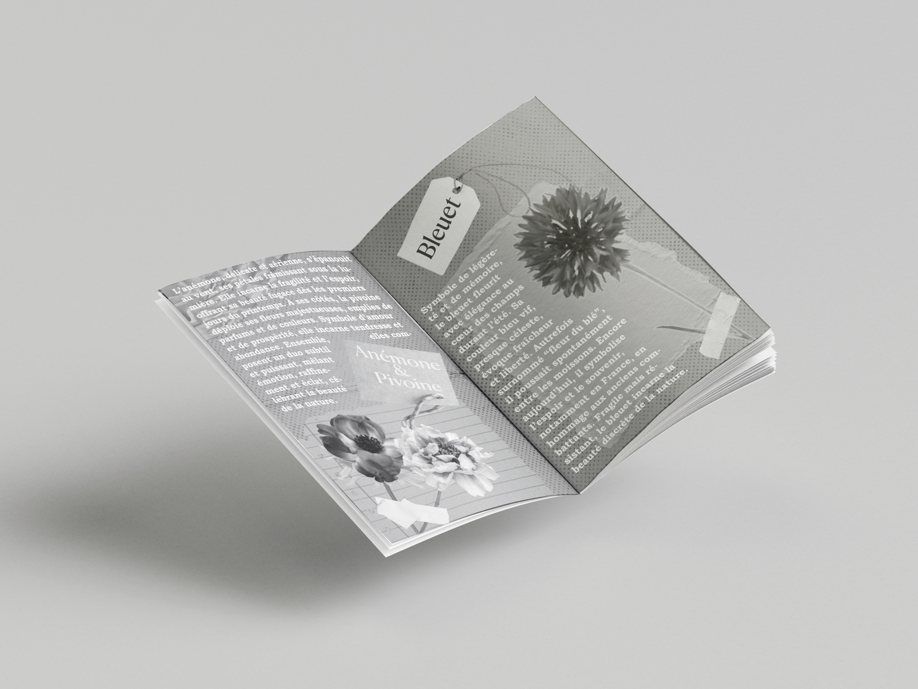 page 3 et 4 du fanzine