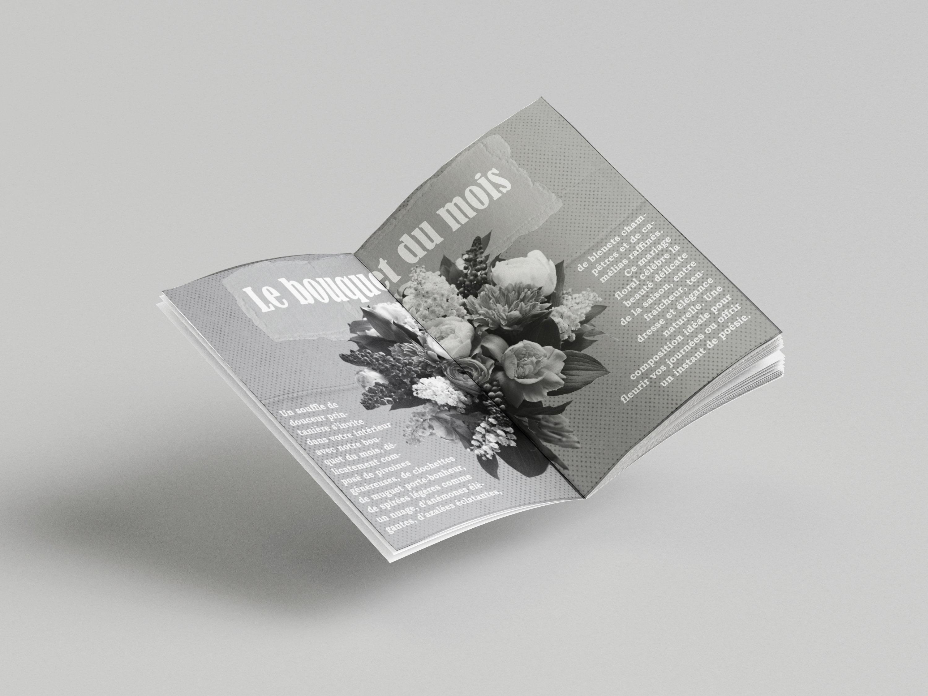 page 5 et 6 du fanzine